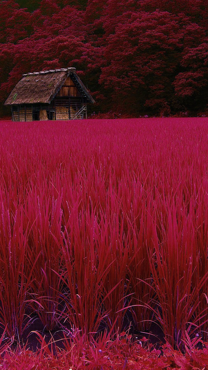 Abstract Scenery
