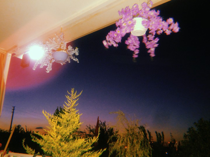 lights