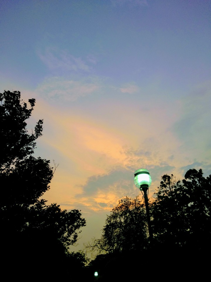 Evening