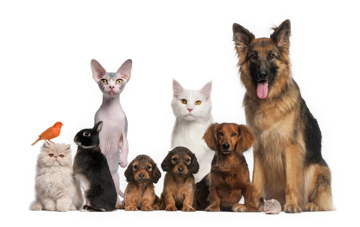 lovely family...