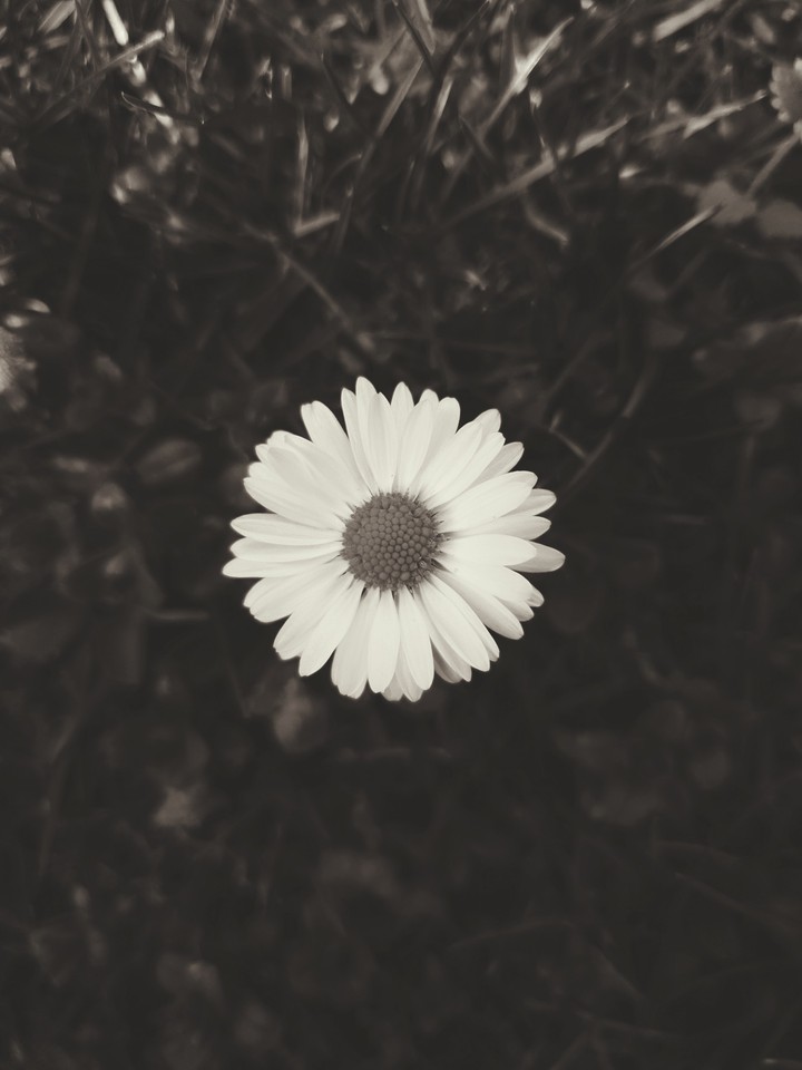 Black and White