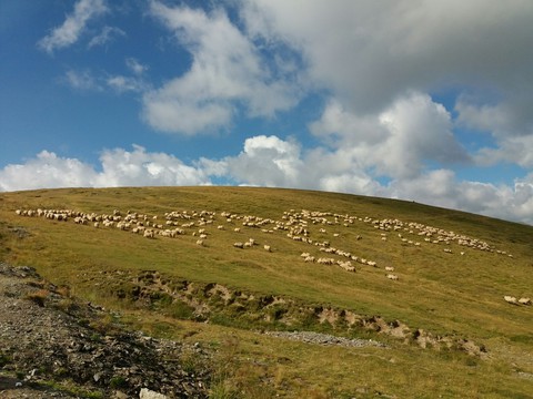 natural landscape
