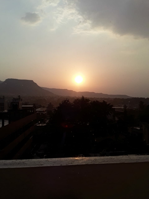 tapety sun, morning