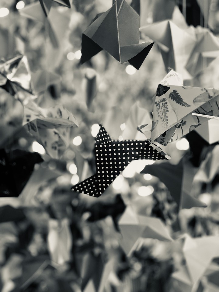 La vie, c’est aussi compliqué qu’un origami.