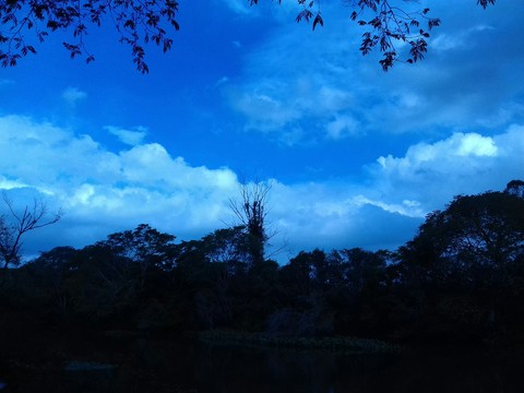 blue sky