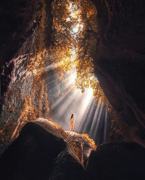 light, formation achtergronden