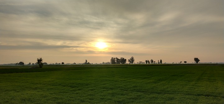 sunset short