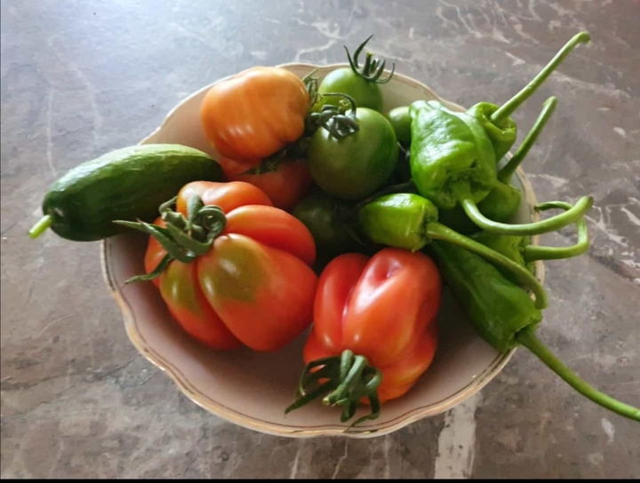 Food