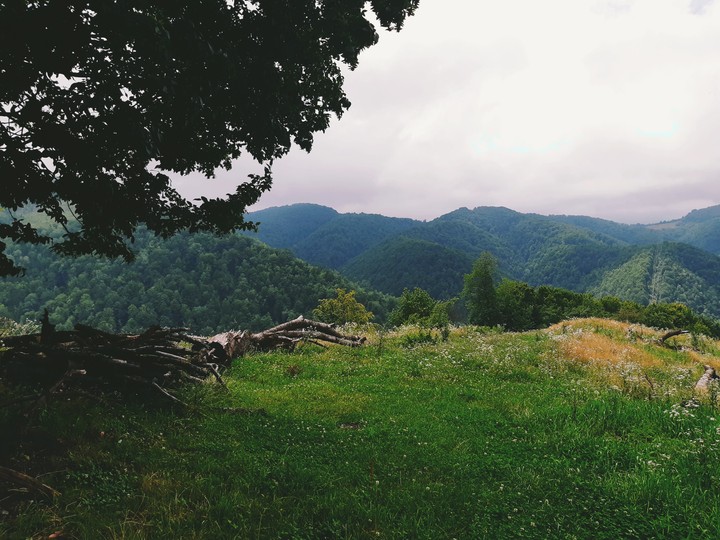 Nature