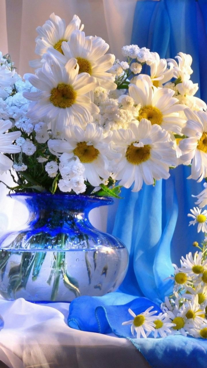 ...Happy Norooz...