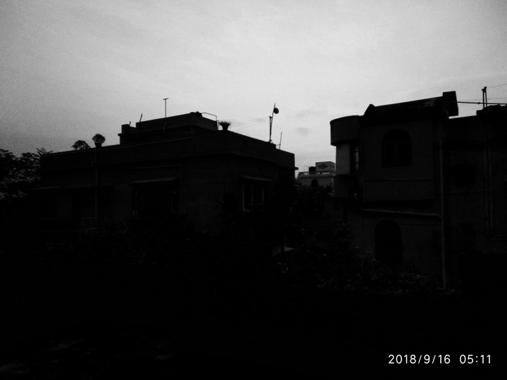 morning life