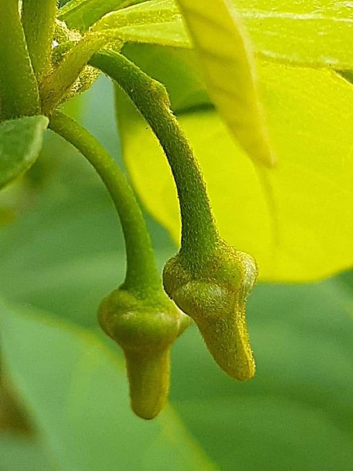 ??đàm☘️♋♋
