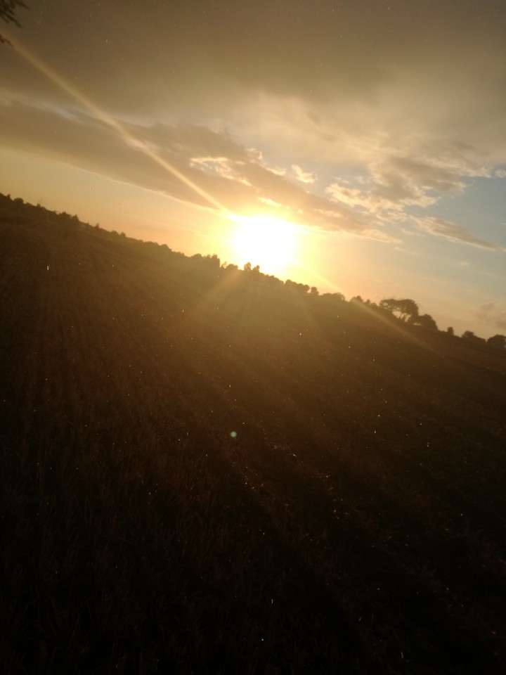 Sonnenuntergang in Regen