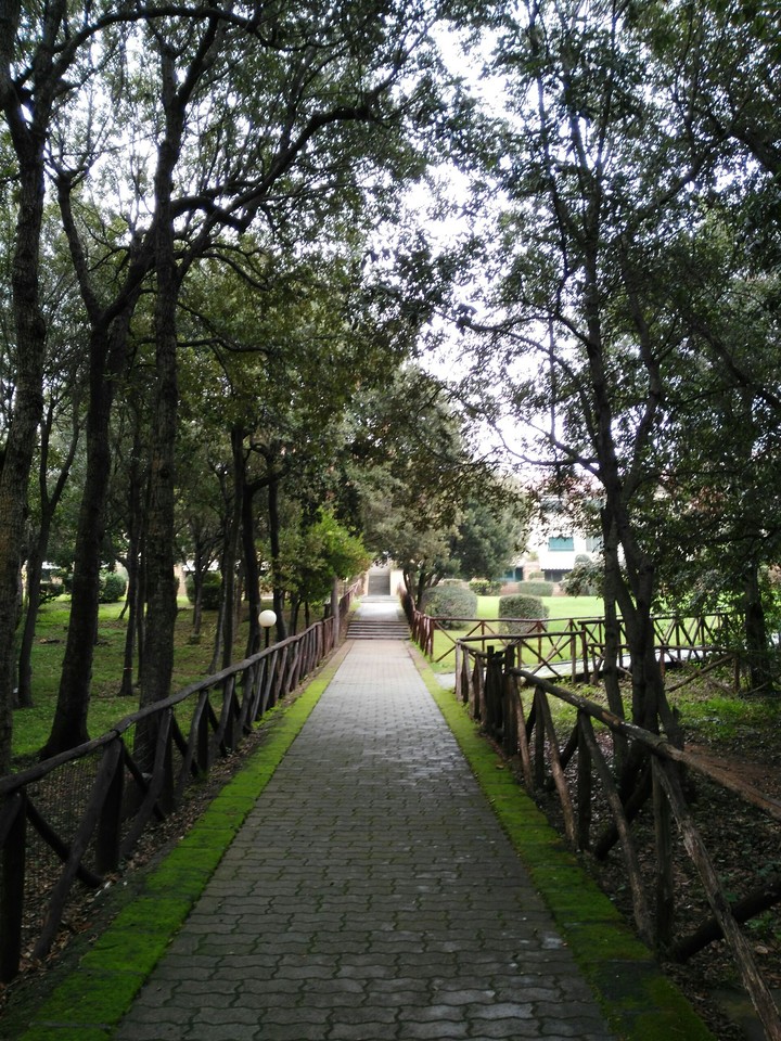 Love Nature