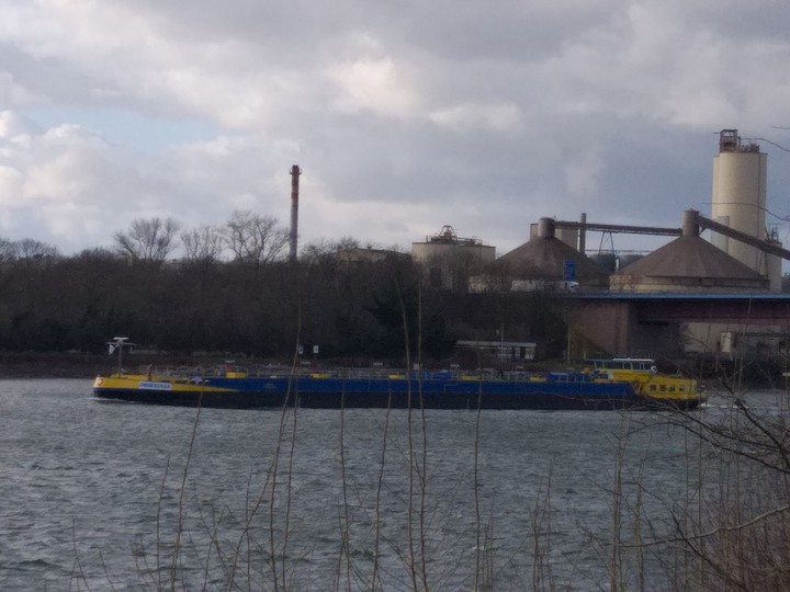 Heute am Rhein