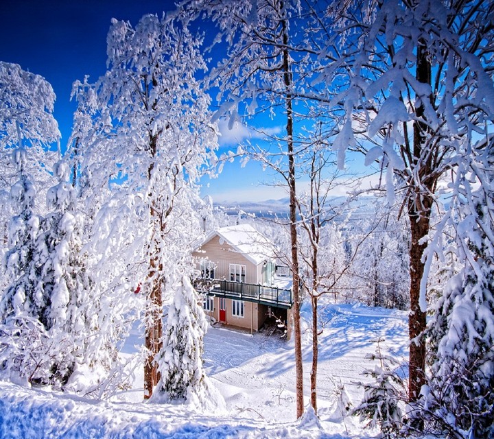 winter