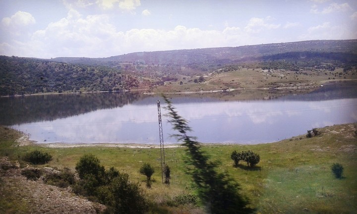 Manzara