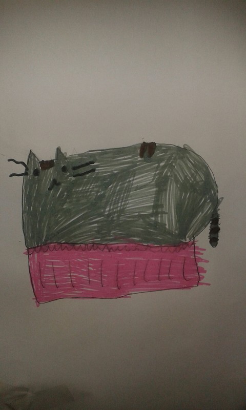 pusheen