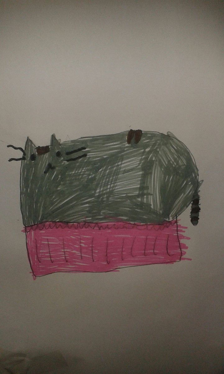 pusheen