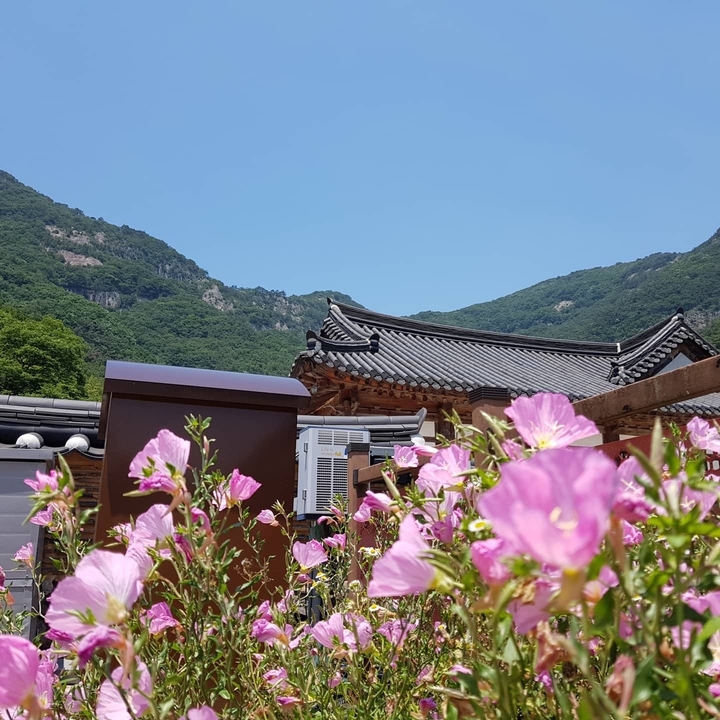 여름산사