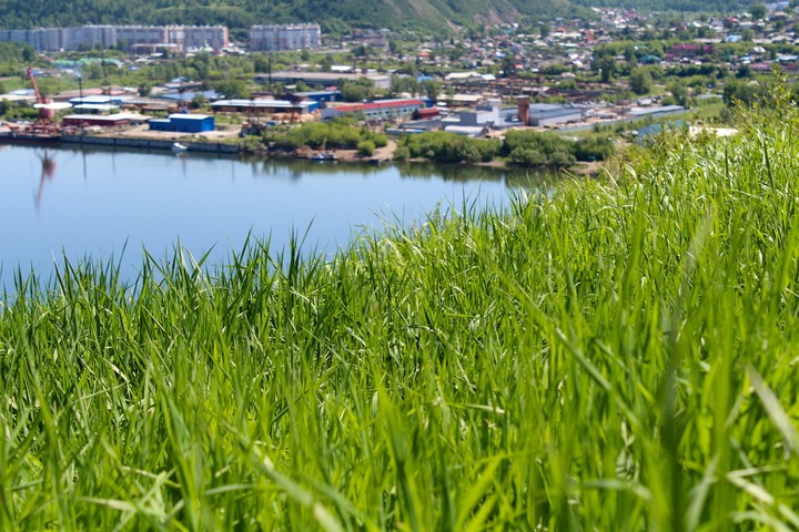 Красивый берег Красноярск