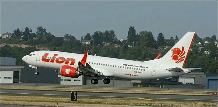 Lion airlines