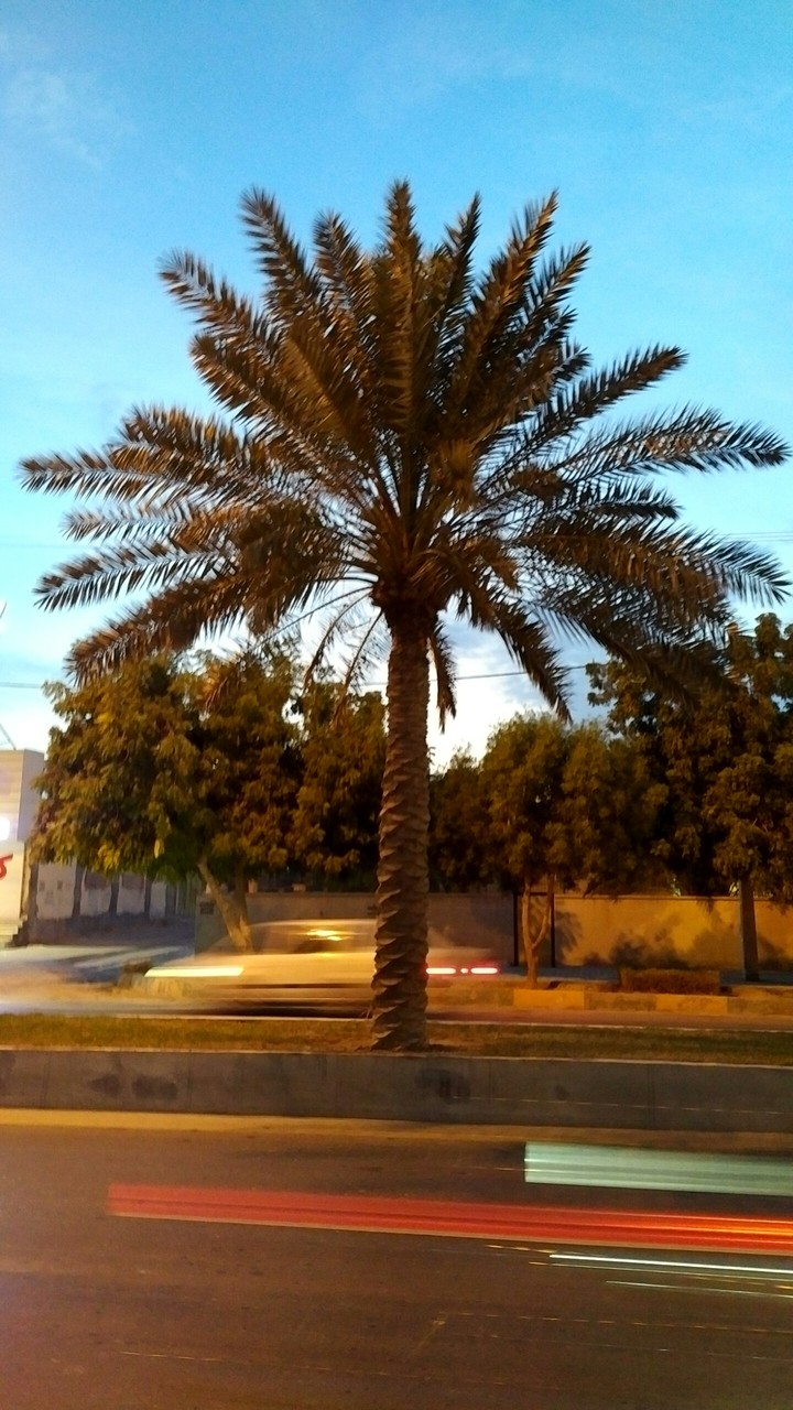 Qeshm