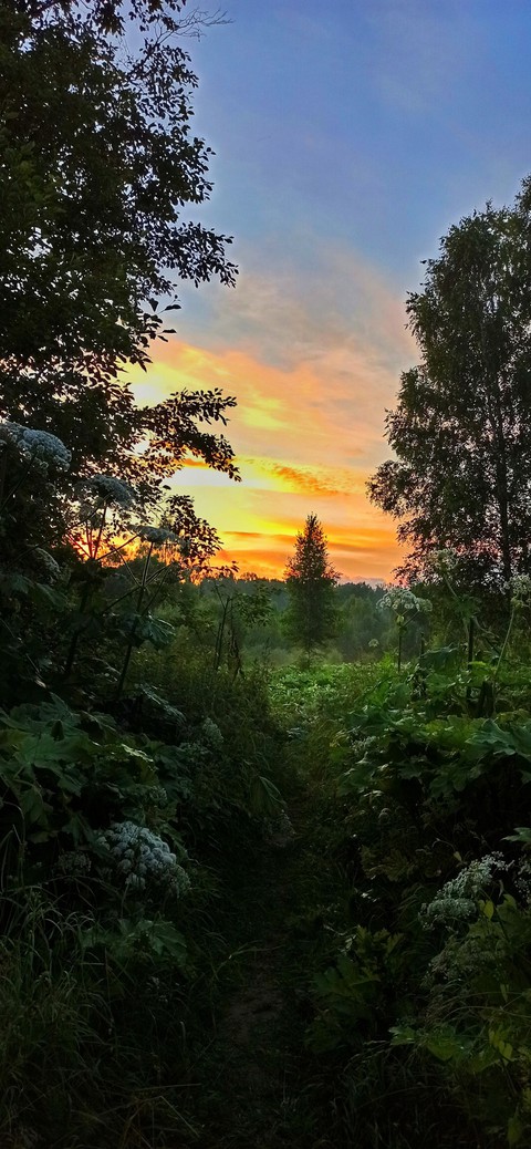 nature