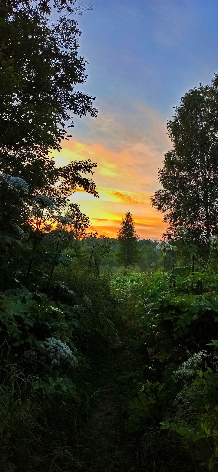 nature