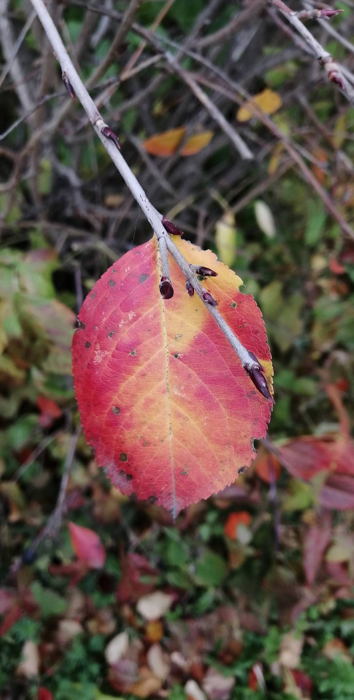 October