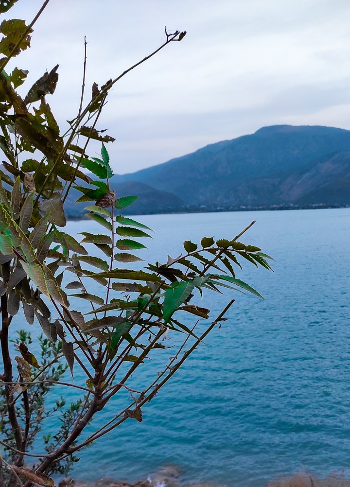 Nature Beauty