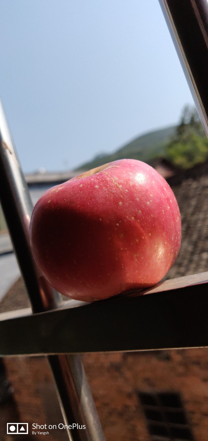 apple.