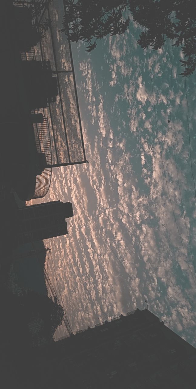 skyy