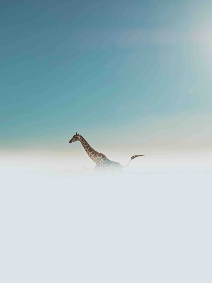 Namibia