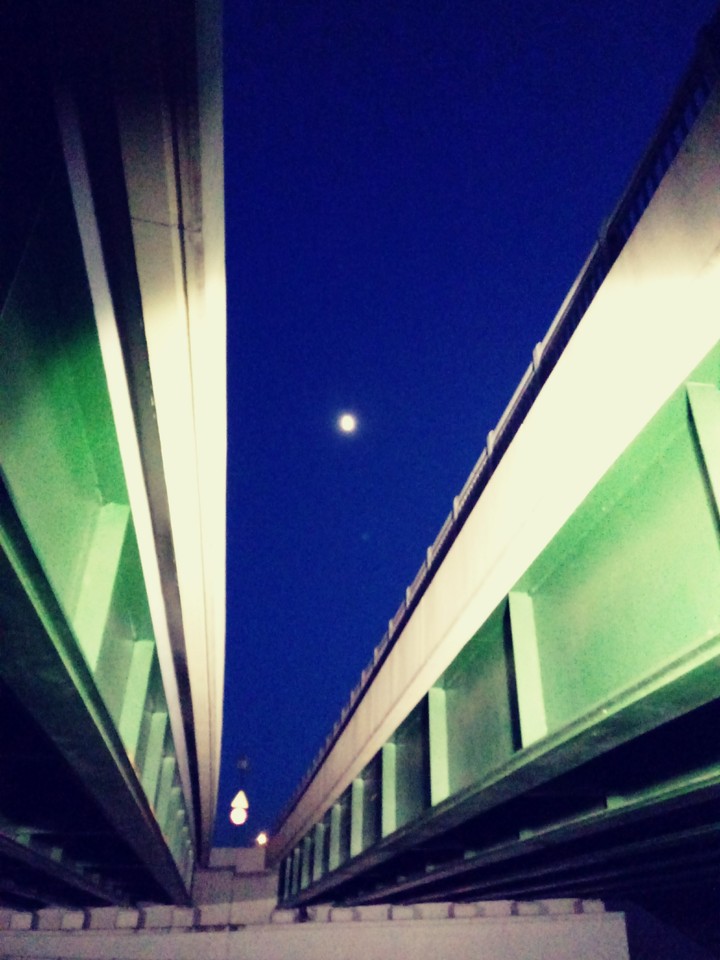 Night under the bright