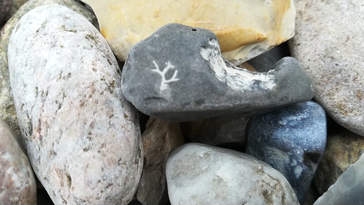 Antler stone