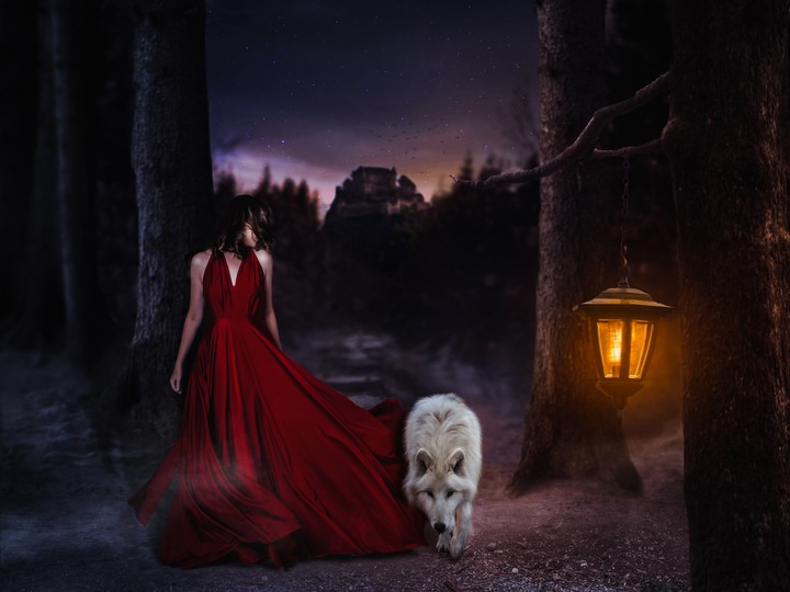 Wolf in love