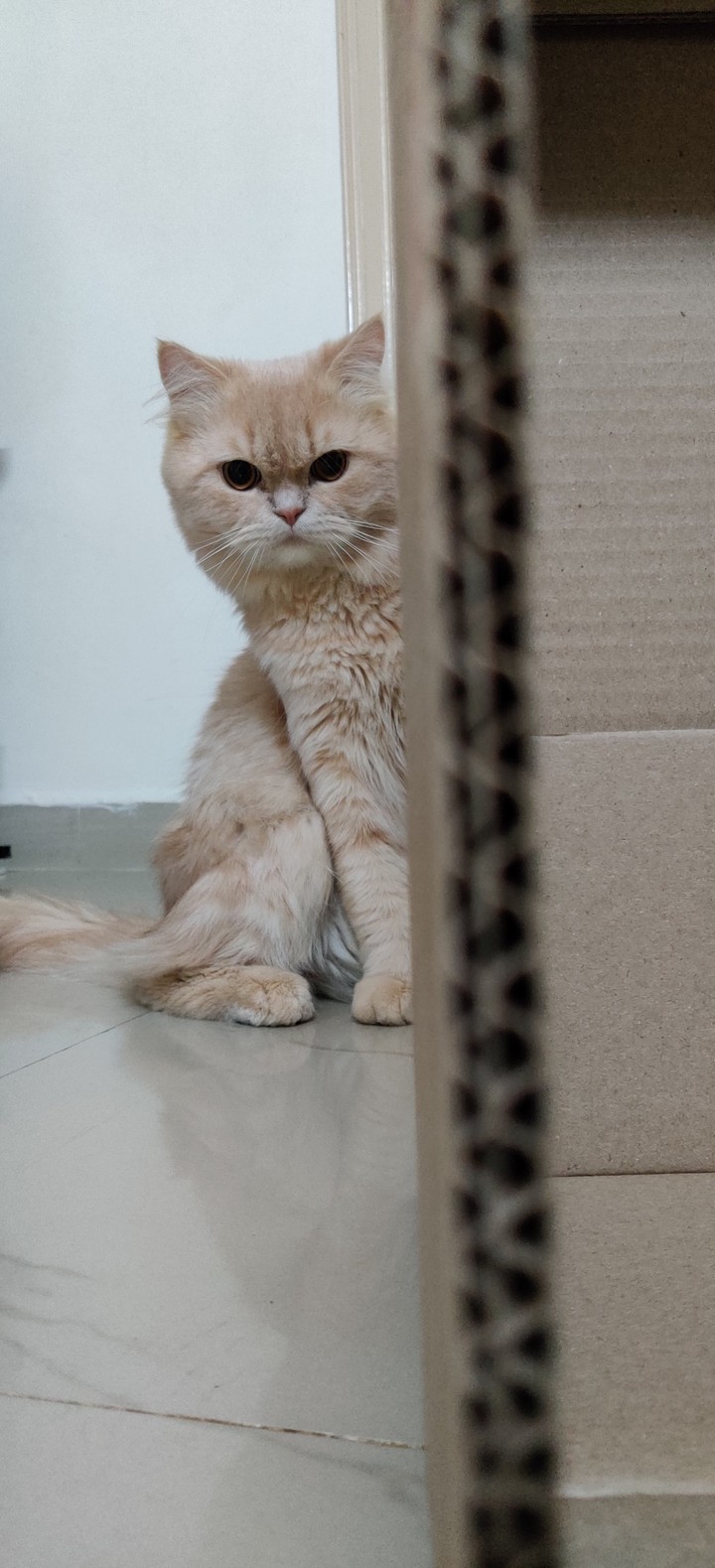 Hi There