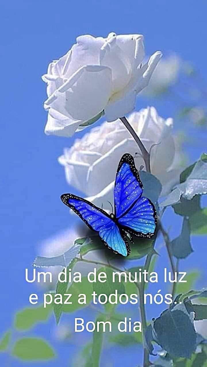Para todos vocês amigos queridos e leitores