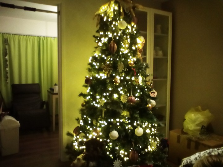 tree of wonders!!!
