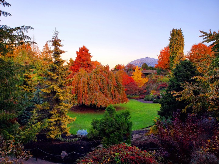 fall