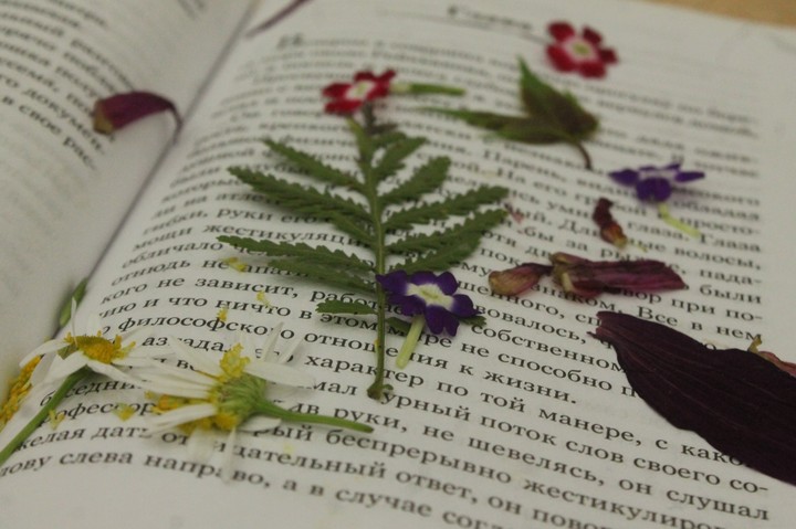 book