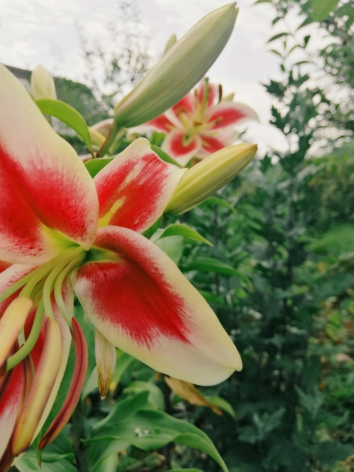 Nature♥️