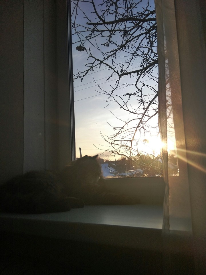 sunset in window