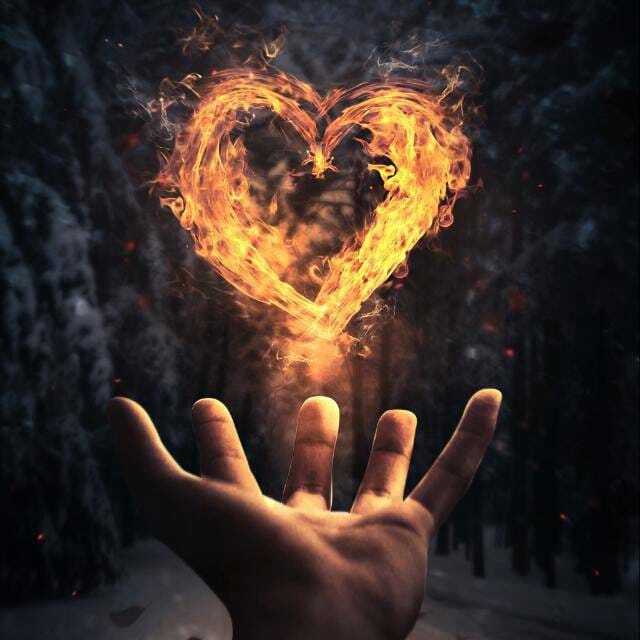 love