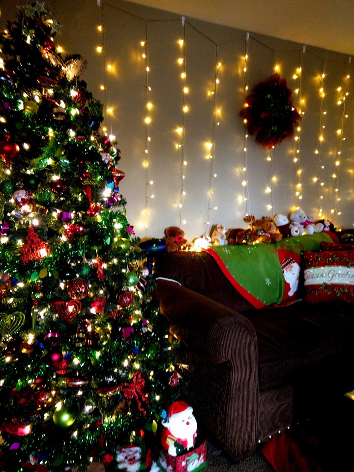 my tree