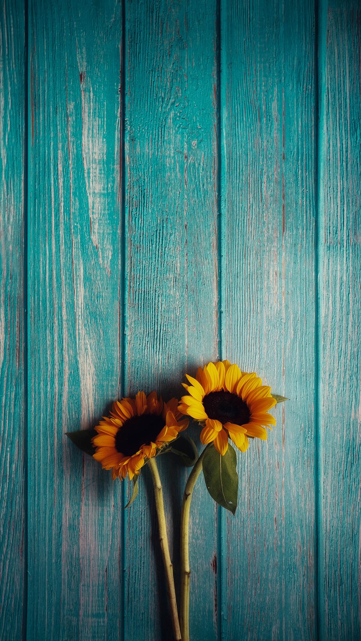 Flower attached to wall