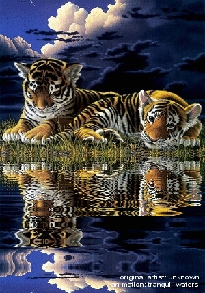 2 cuccioli vicino all'acqua