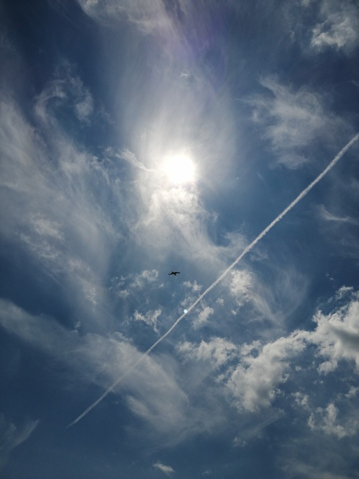 Fly