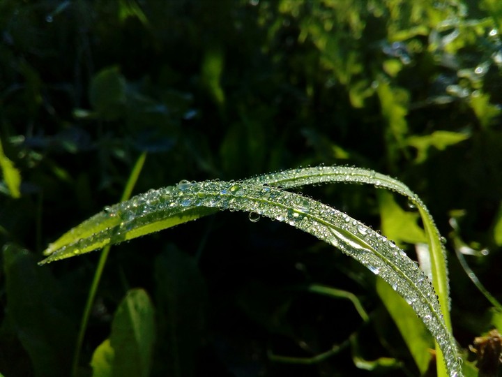water